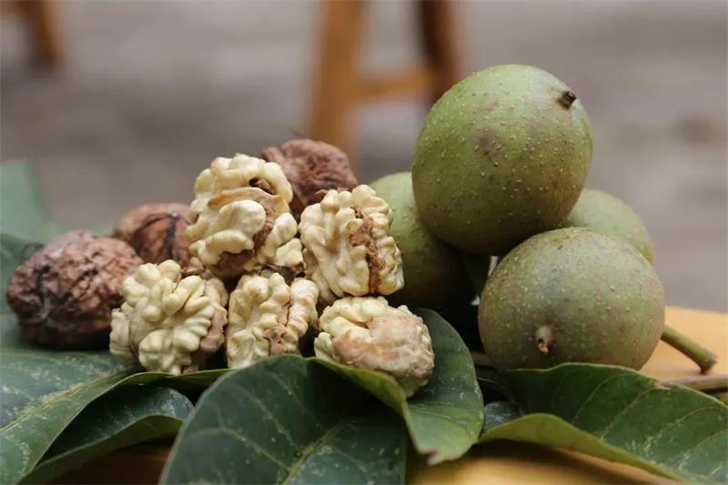 تاريخ زراعة الجوز في الصين