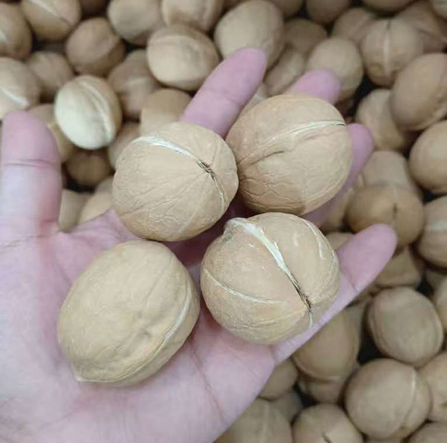 أصل الاسم وخصائصه