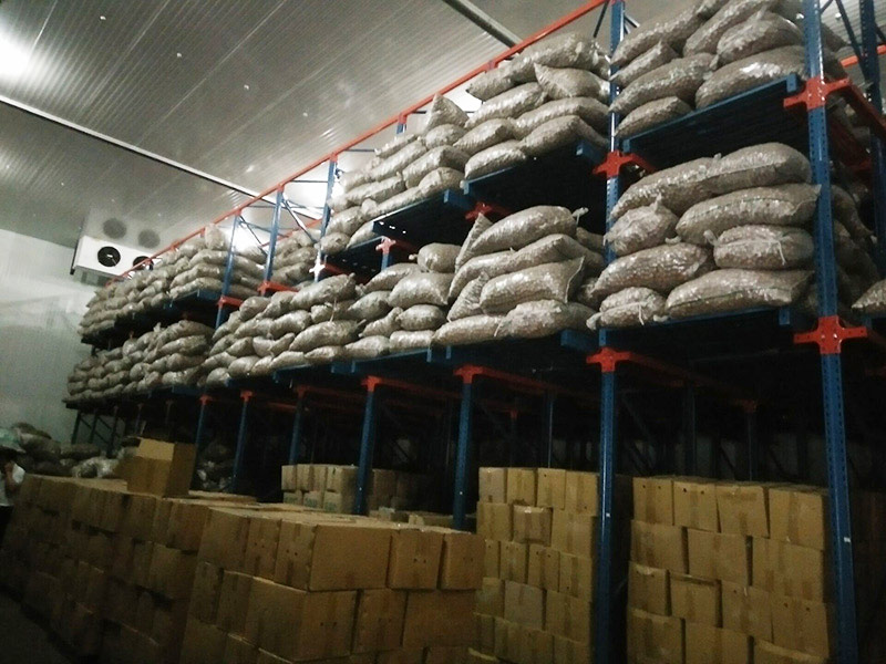 كيفية تخزين الجوز غير المقشر للحفاظ على قيمته الغذائية ونكهته