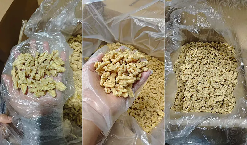 تكنولوجيا إنتاج حبات الجوز الخالية من القشرة من شركة Hebei Huadai