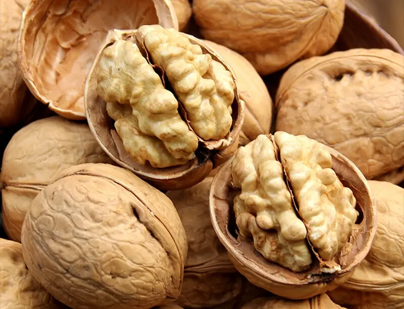 جوزة لم الشمل، ثمرة التفاؤل – طعم السنة الصينية الجديدة في الجوز