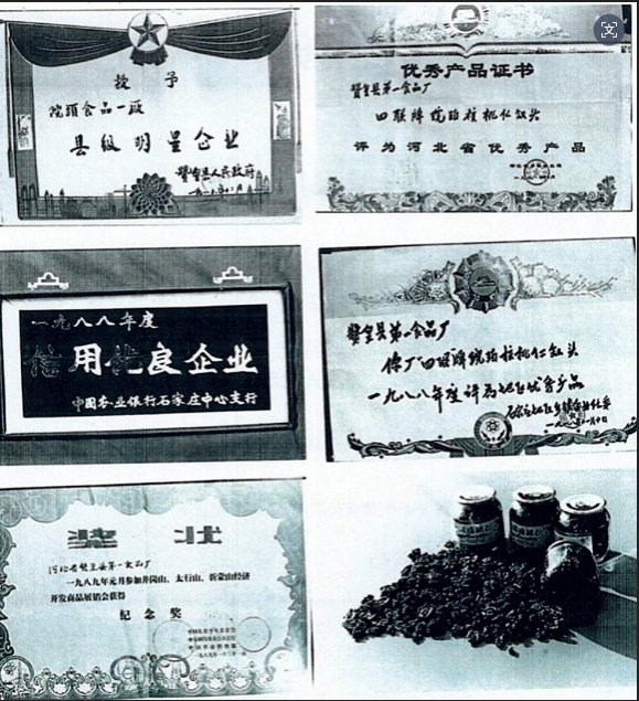 华岱发展史--小小核桃的世代传承