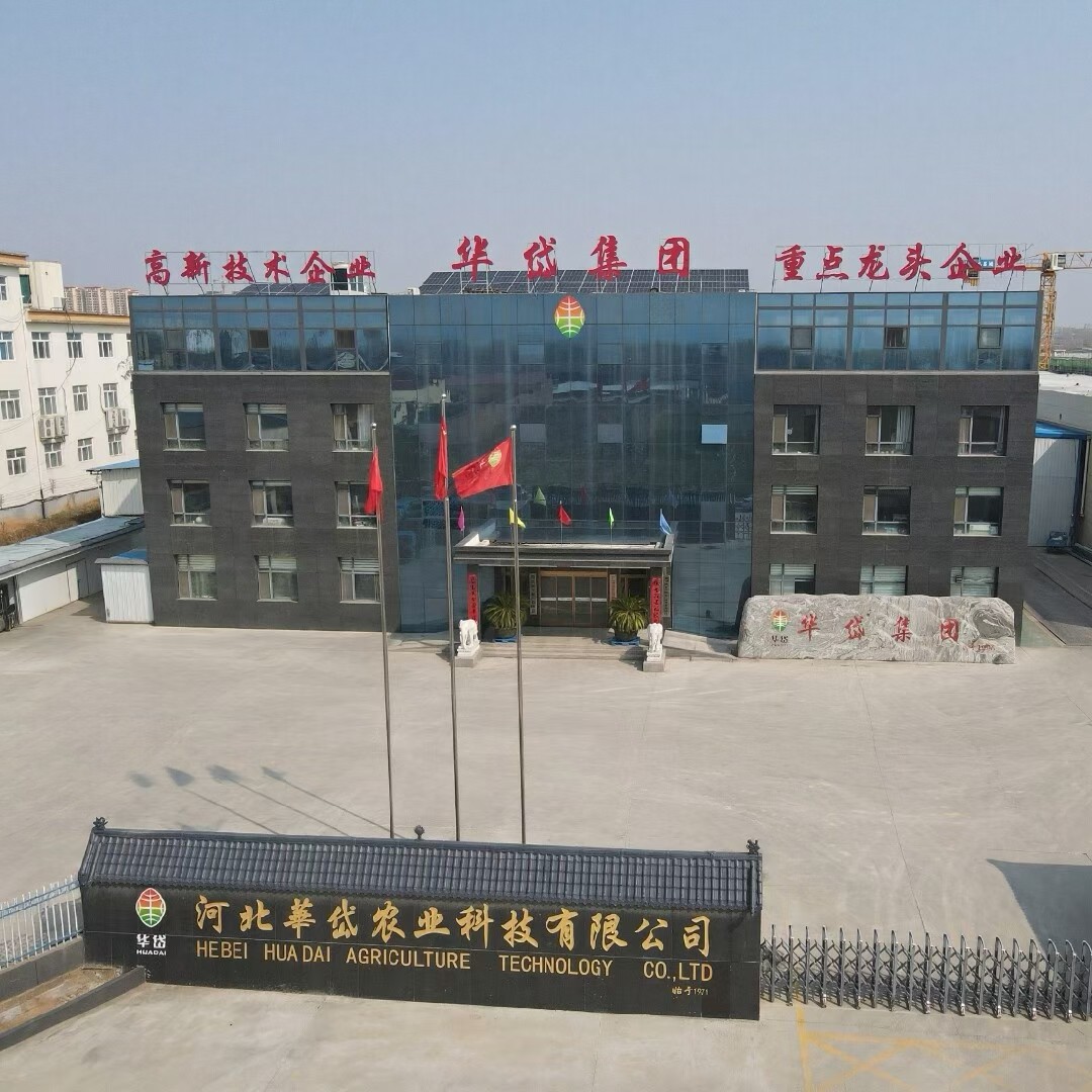 华岱发展史--小小核桃的世代传承