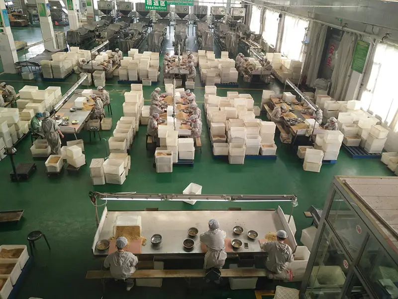 Walnut Kernels Workshop