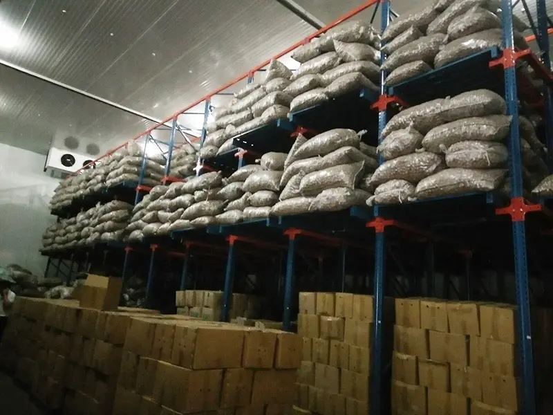 Receiving and Storage of Walnut Inshell​​