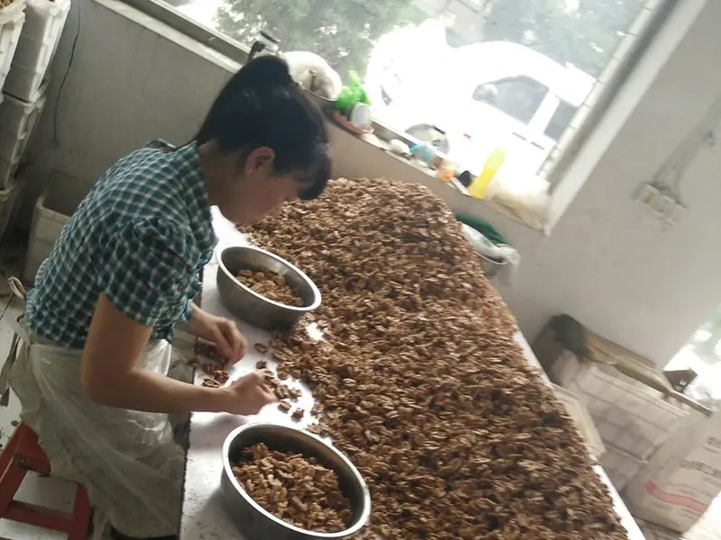 Selection of Walnut Kernels
