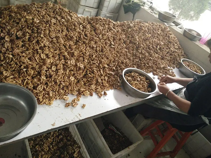 Selection and Grading of Walnut Kernels​​