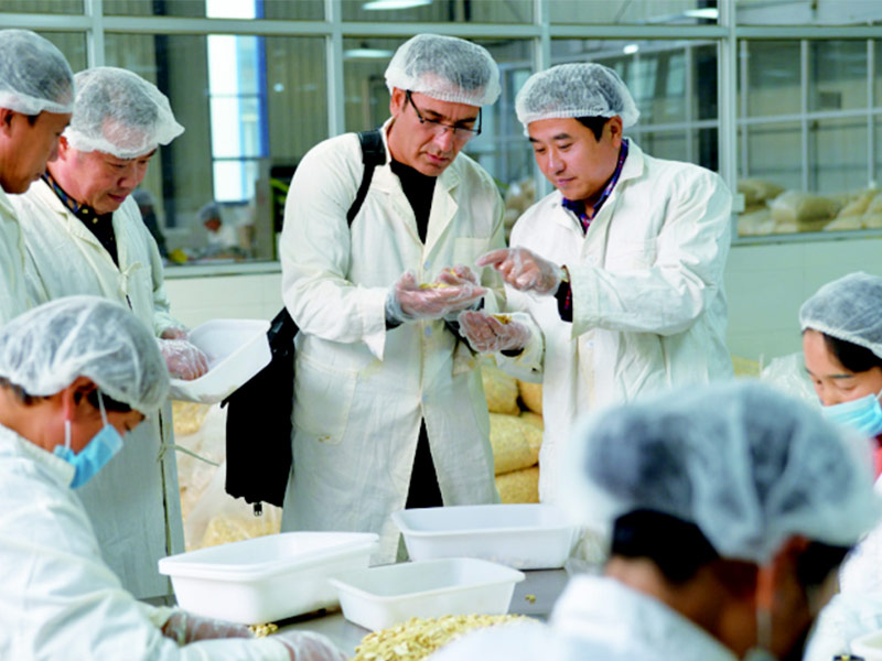 Selection of Cashew Nuts